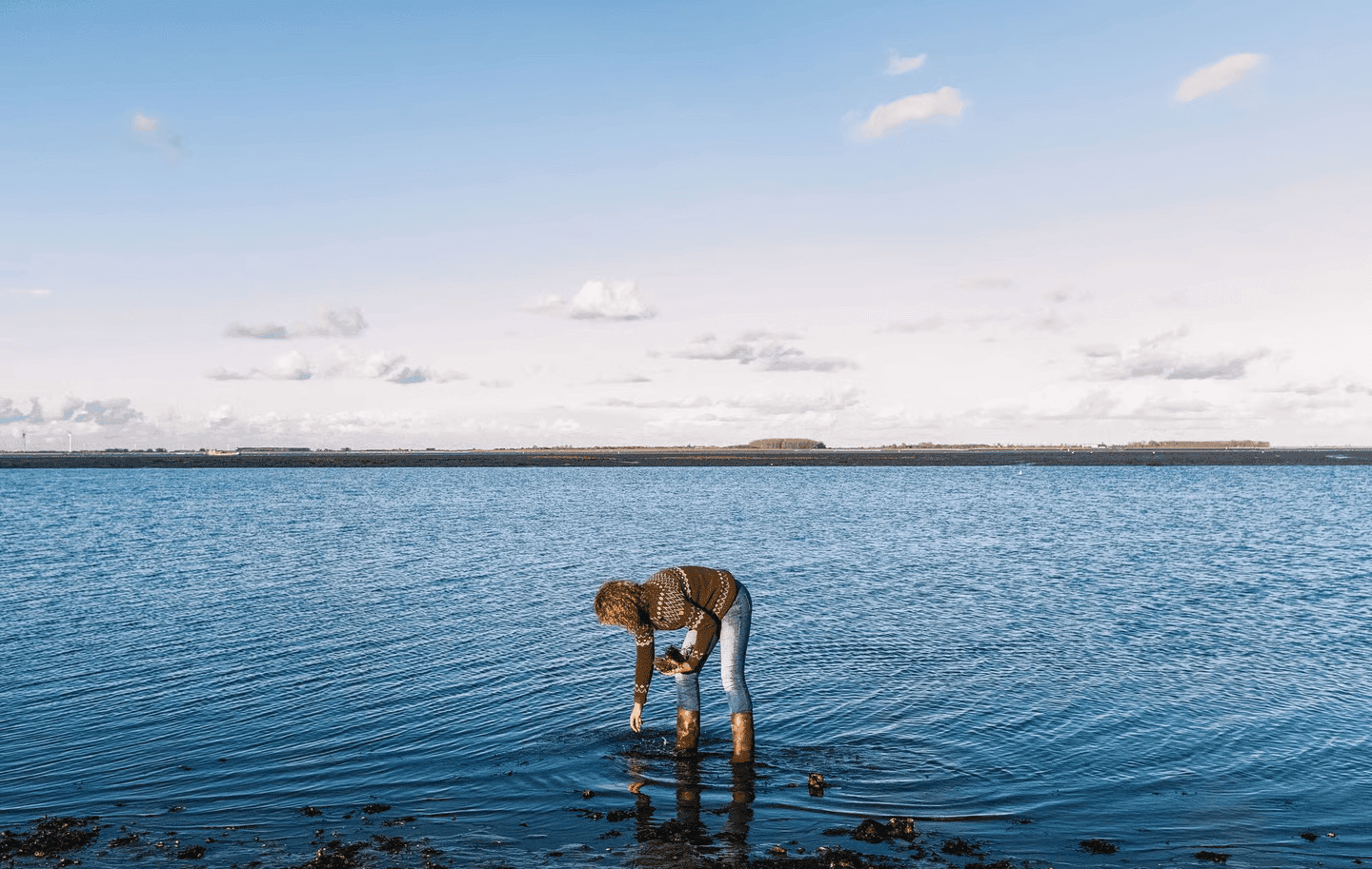 Bord voor bord opgemaakte visgerechten van bovenaf gezien